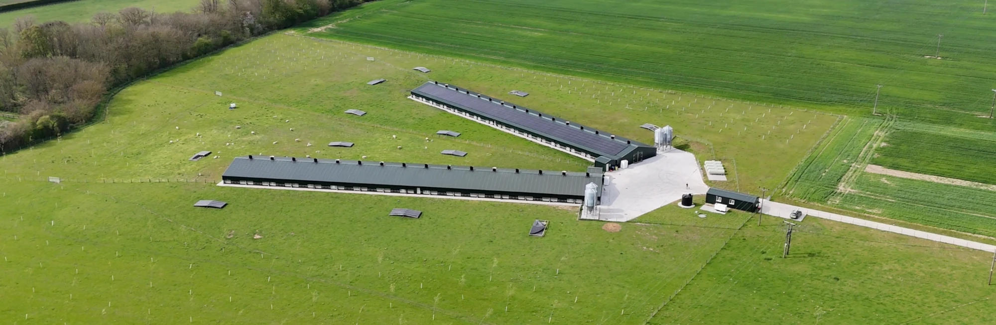 A farm shed with a solar roof, ringed by trees